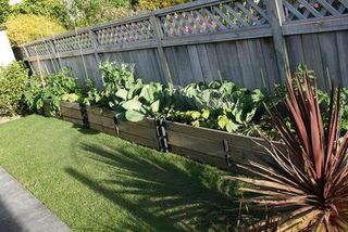 Raised Garden